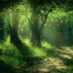 Logo del gruppo BOSCHI DELLA CORONA