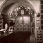 Logo del gruppo Erboristeria Regia